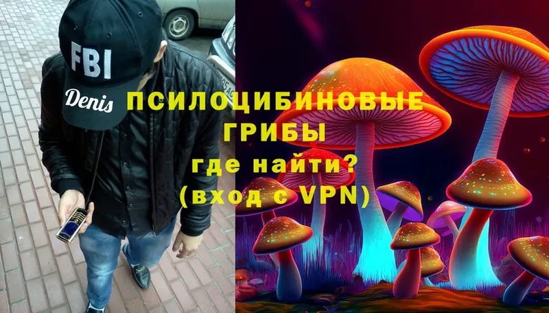 Псилоцибиновые грибы Magic Shrooms  Нижняя Тура 